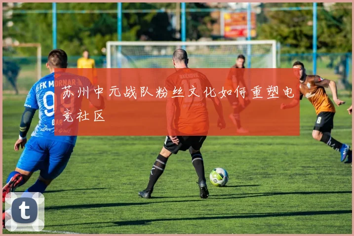 苏州中元战队粉丝文化如何重塑电竞社区