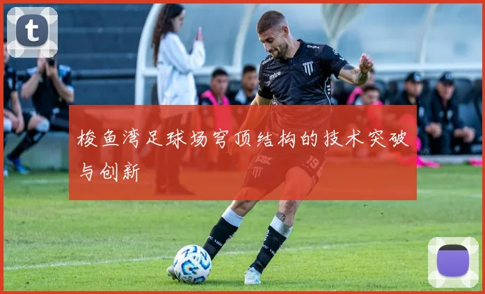 梭鱼湾足球场穹顶结构的技术突破与创新