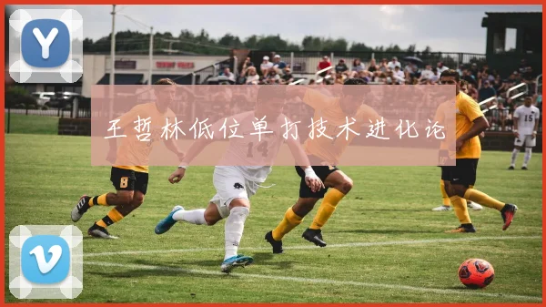 王哲林低位单打技术进化论