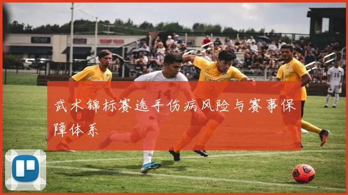武术锦标赛选手伤病风险与赛事保障体系