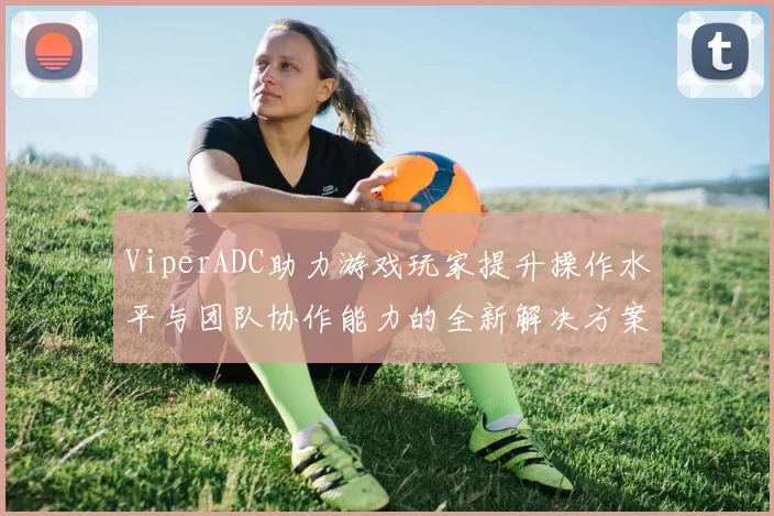 ViperADC助力游戏玩家提升操作水平与团队协作能力的全新解决方案