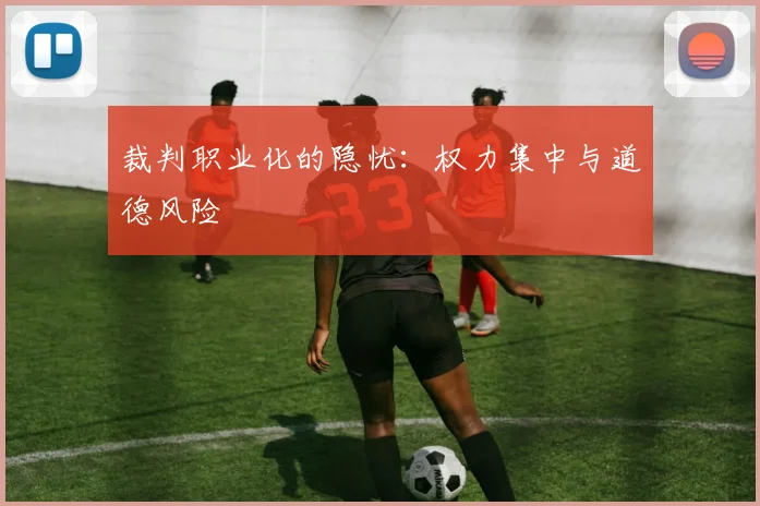 裁判职业化的隐忧：权力集中与道德风险