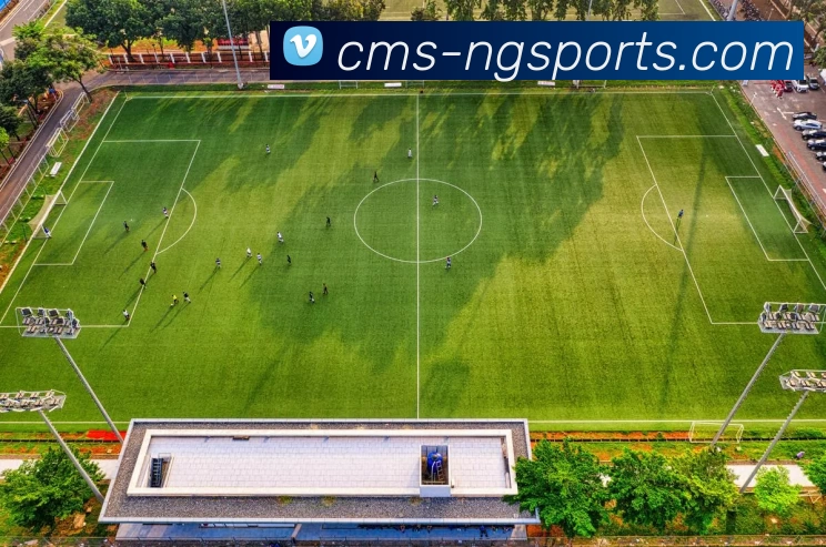 ng体育APP 高清赛事图